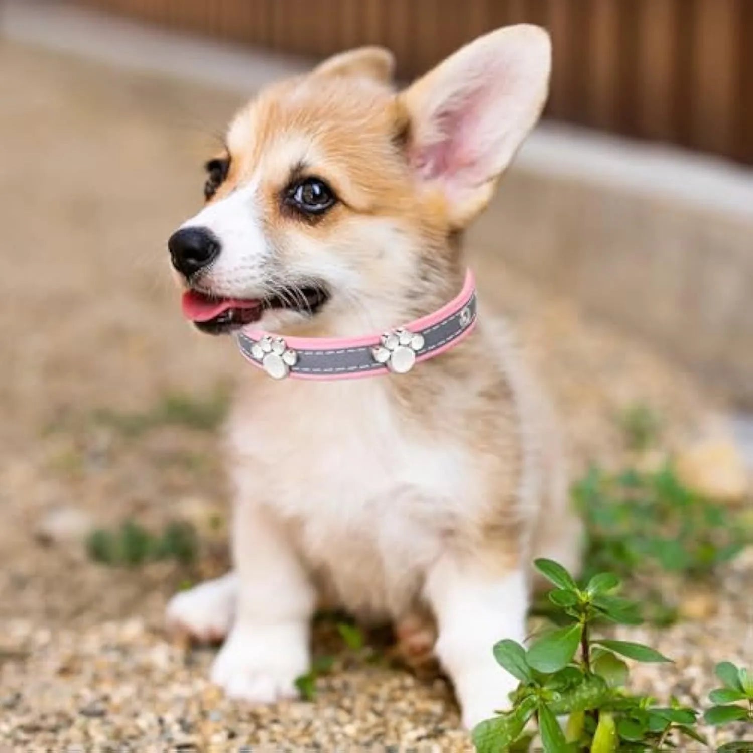 Reflective adjustable dog collar in soft brown PU leather with a metal paw-shaped rivet and buckle.
