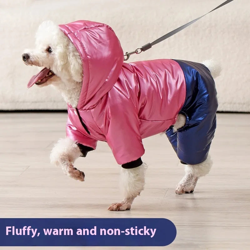 Green waterproof dog winter coat with cotton padding on small brown dog outdoors