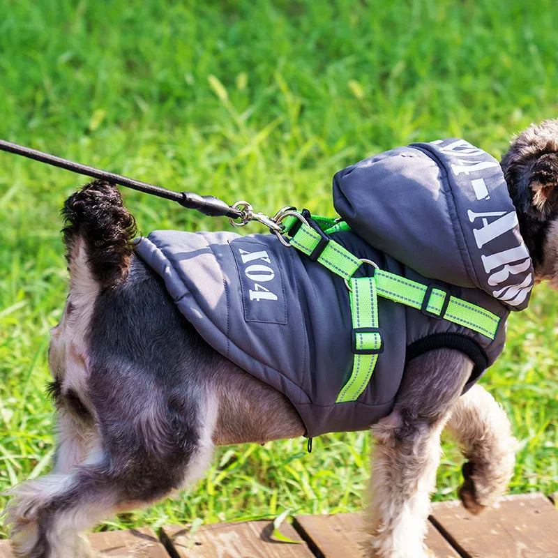 Fleece-lined waterproof dog winter jacket with hood in red colour on small dog