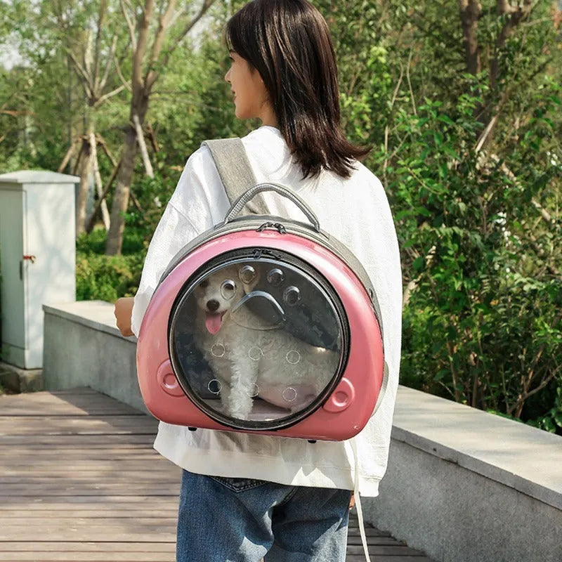 Transparent space capsule style cat carrier backpack in PC canvas with a coloured front shell.