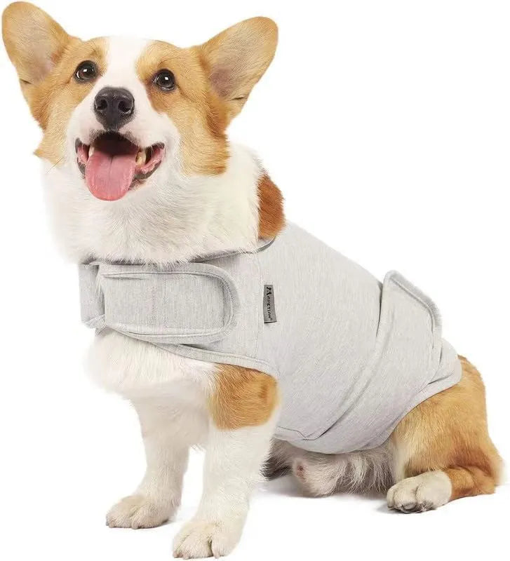 Brown brocade cotton dog anxiety tank top on a model dog, showing the casual tank top style.