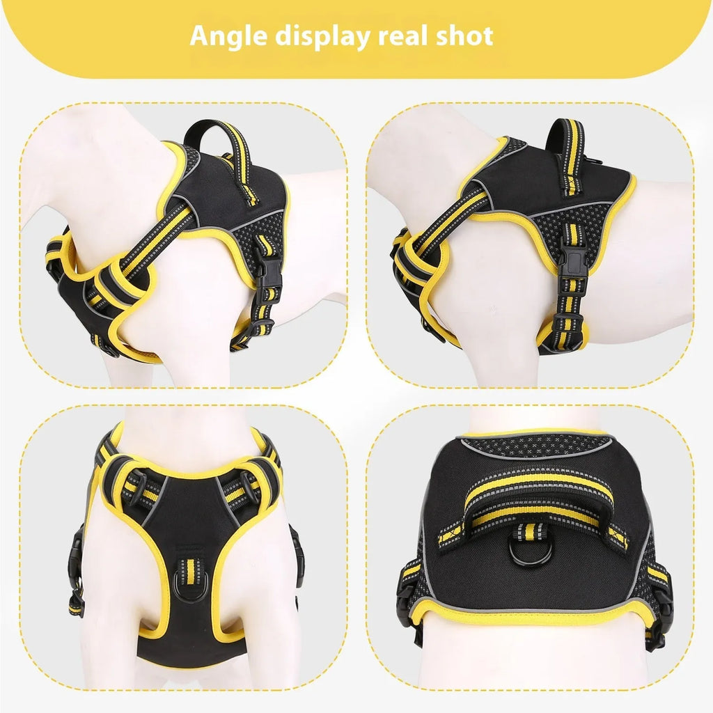 Orange polyester dog harness with integrated training lead shown in outdoor setting