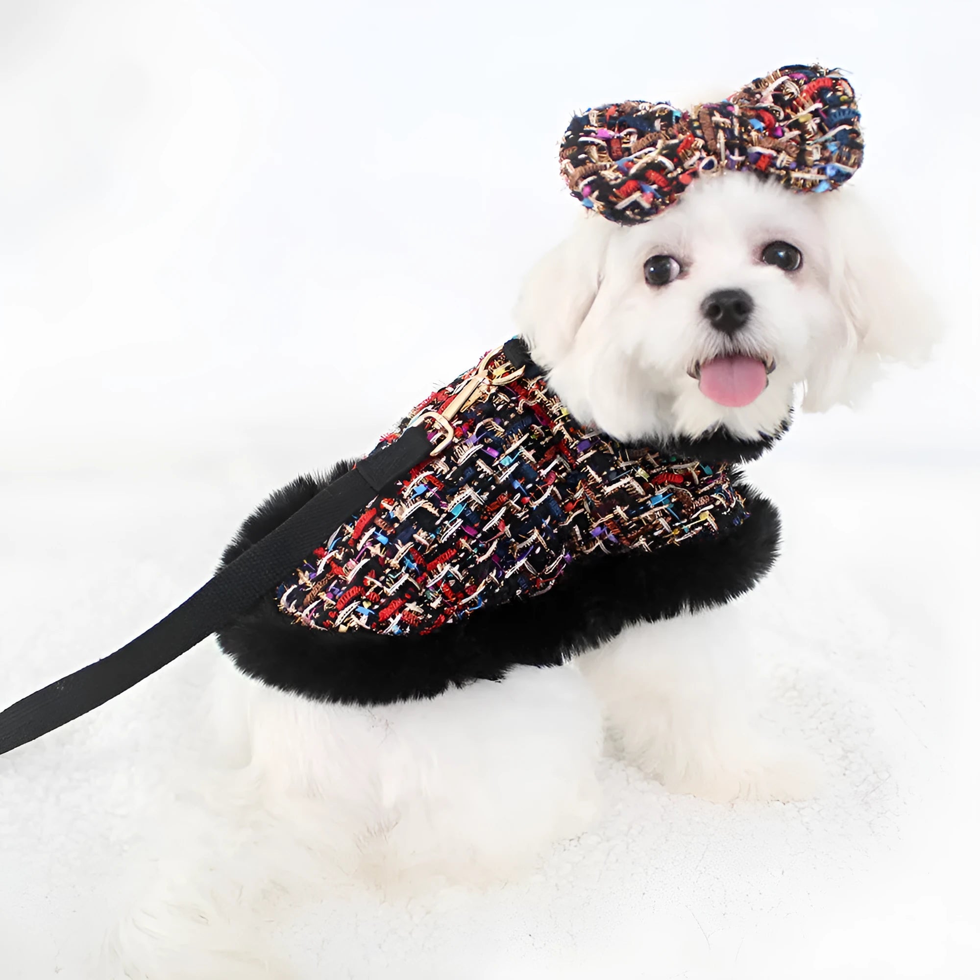 Dog wearing cloak costume with chest strap and matching traction rope in beret or bow style