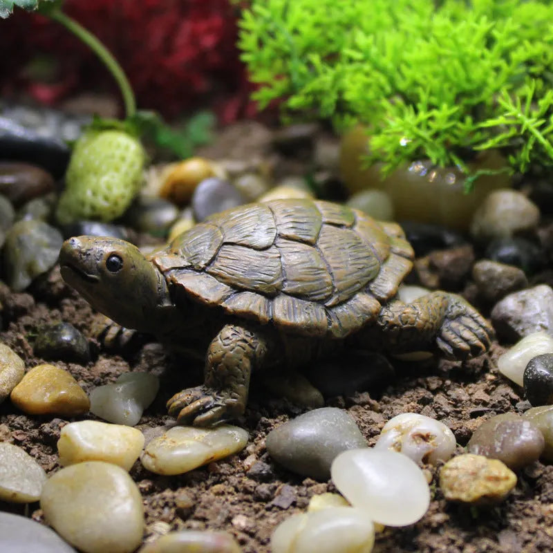 Small brown resin simulation turtle ornament for fairy garden or terrarium decoration.