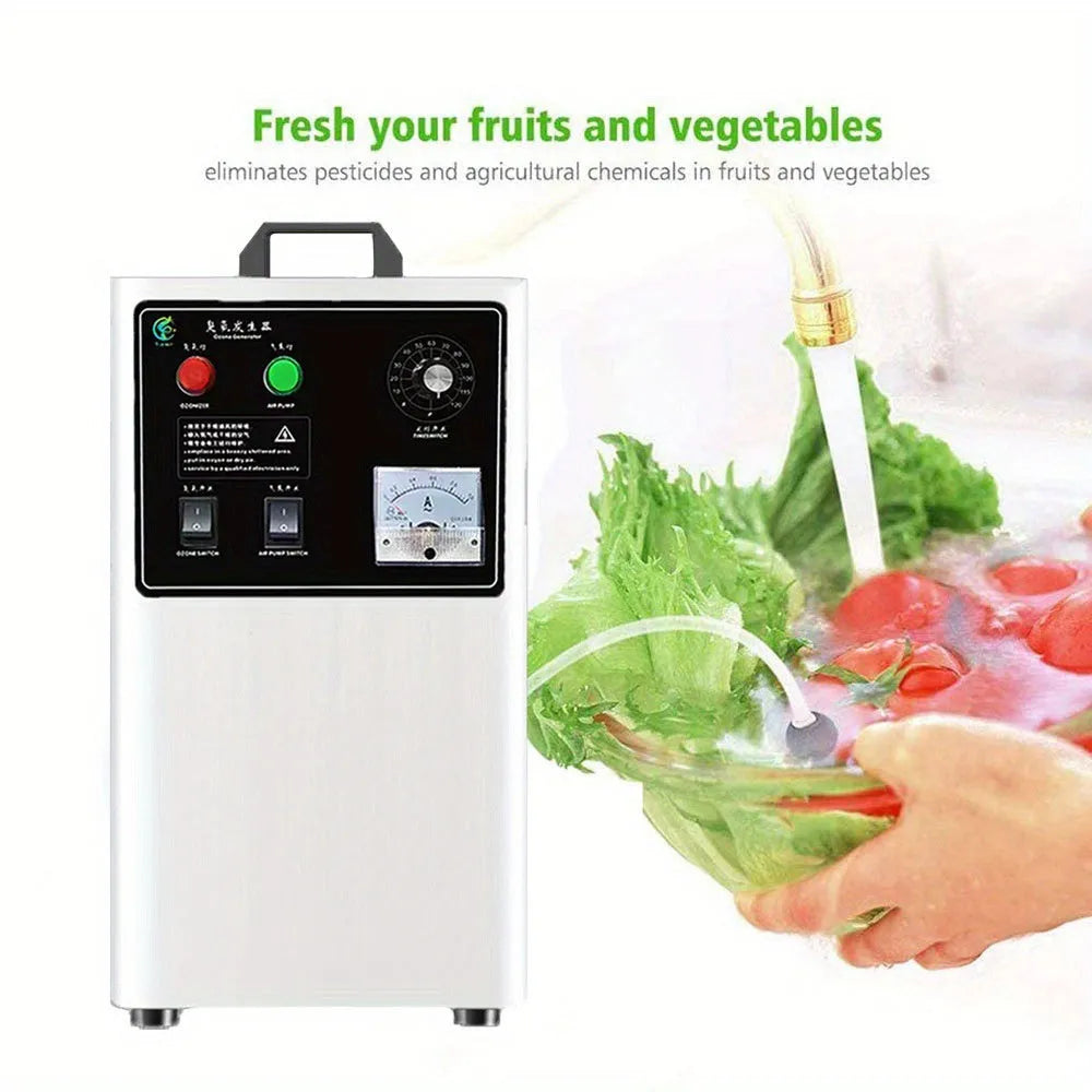 White and stainless steel fruit and vegetable ozone generator machine with 20g/h output.
