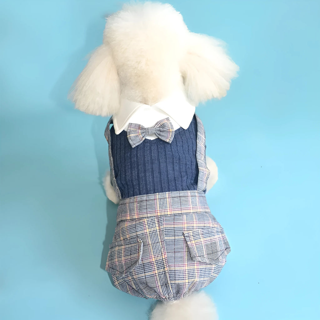 Dark blue or orange cotton dog suit shirt for small to large dogs, sizes S to 2XL