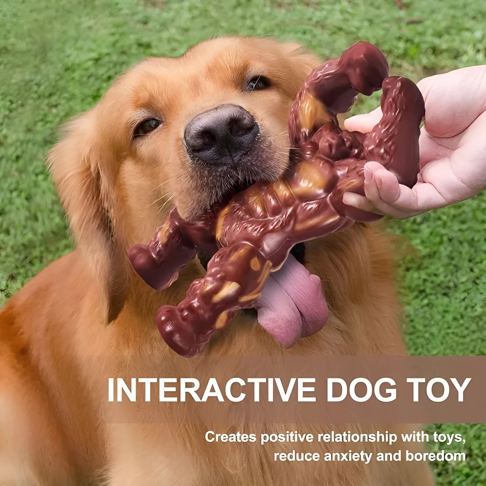 Scarlet beef-flavoured nylon dog molar chewing toy measuring 10.7x17.2x5cm