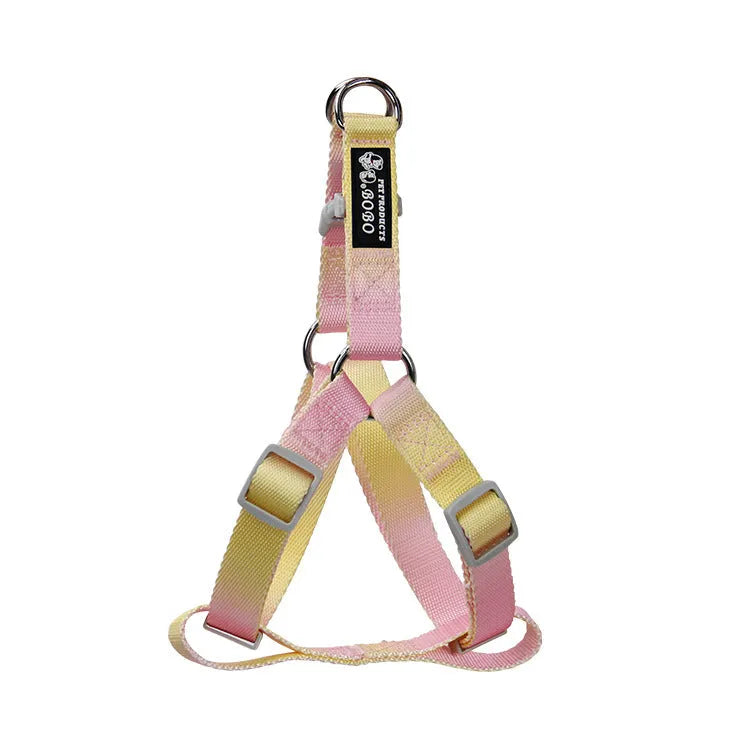 Gradient colour dog leash set showing pink and blue nylon collar and chest strap harness options