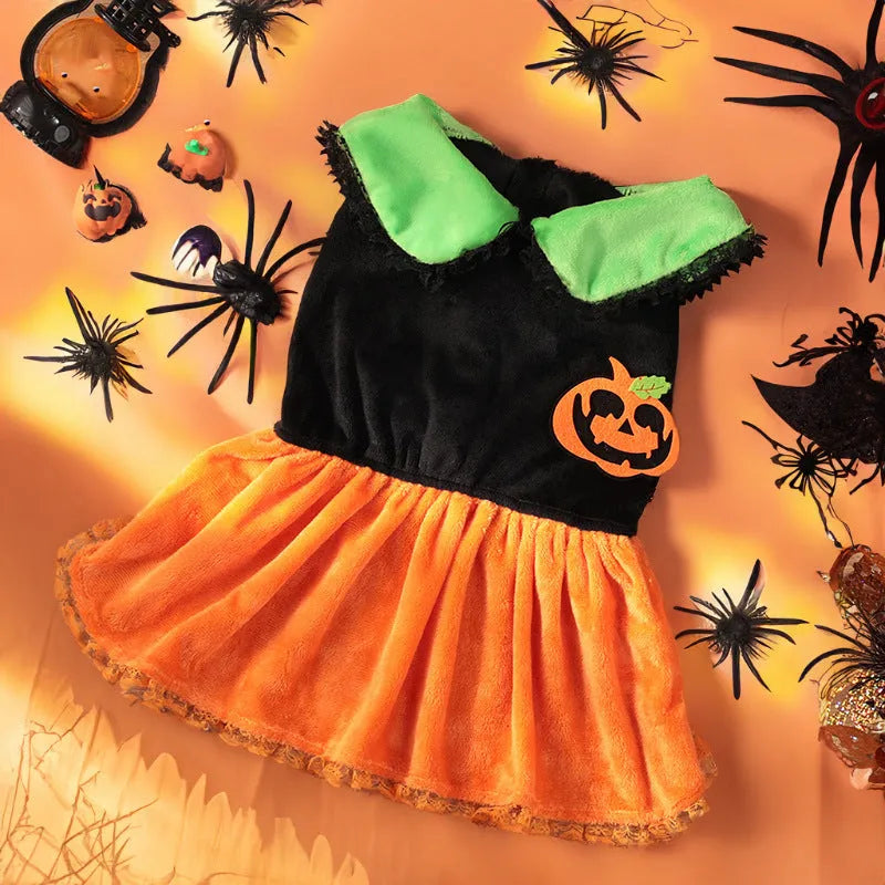 Halloween pet costume showing pumpkin skirt and sweater designs in crystal velvet for dogs and cats