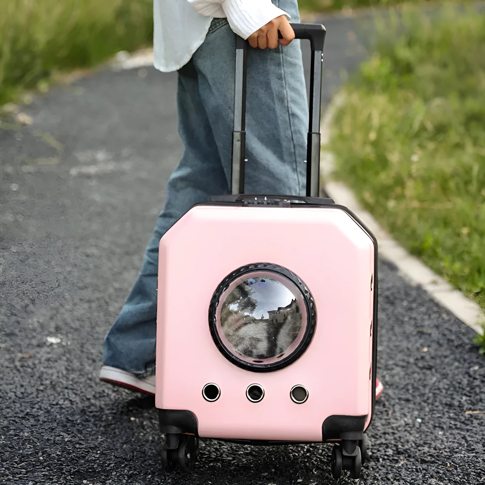 Hard PVC pet flight case with trolley wheels in solid colour options for cat transport