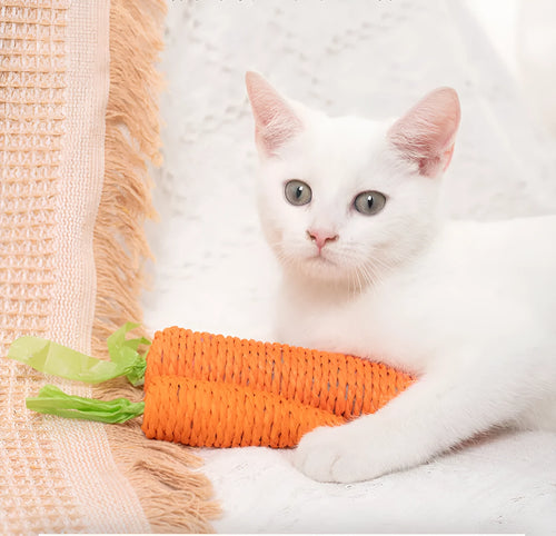 Set of cat toys including carrot-shaped bites, paper toys, ringing stones, and grinding sticks in two sizes.