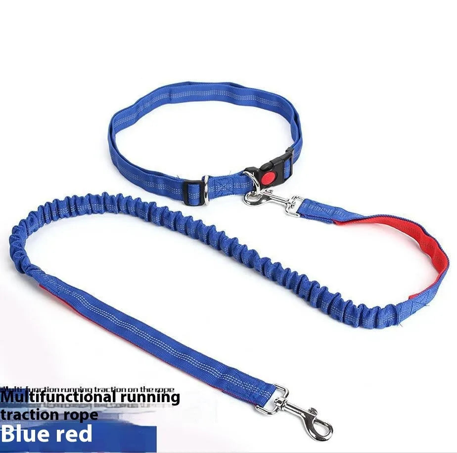 Grey and green reflective elastic dog running leash with a 2.5cm wide nylon strap.