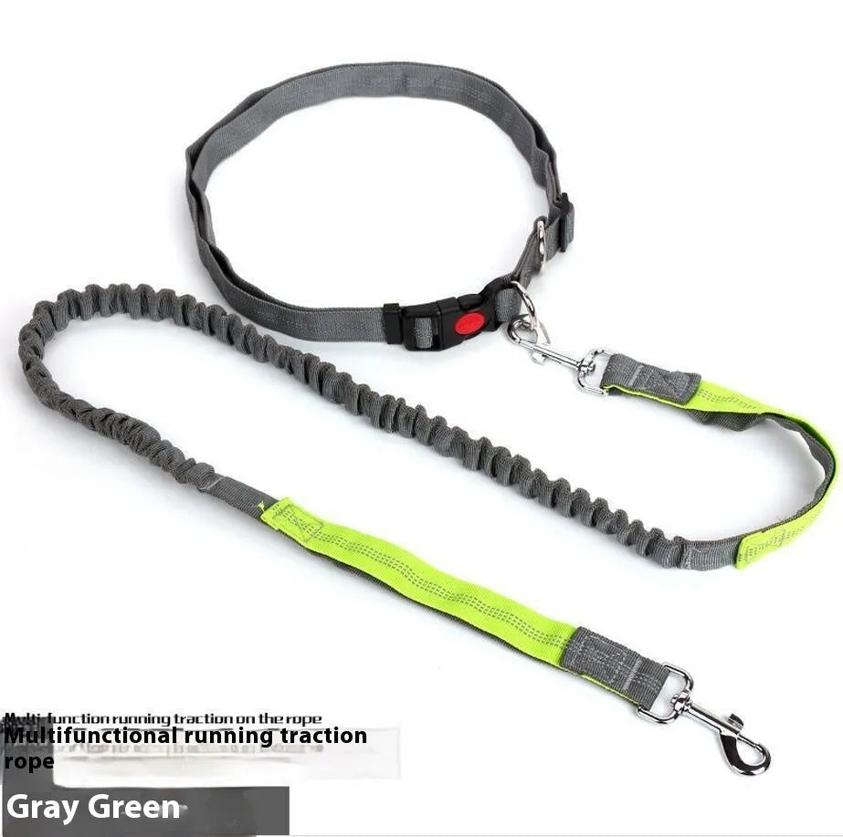 Grey and green reflective elastic dog running leash with a 2.5cm wide nylon strap.
