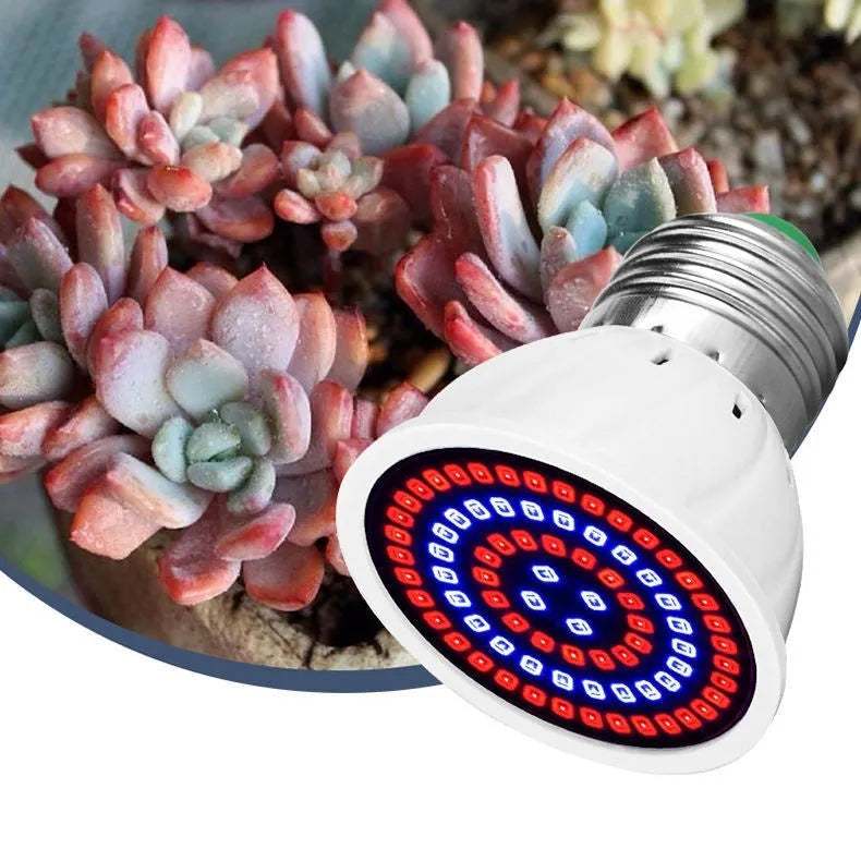 White LED plant growth lamp with 80 beads for indoor potted plants covering 30-80 square centimetres