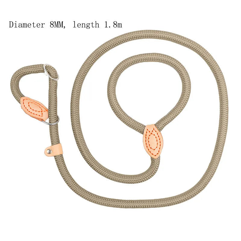 Blast race training dog leash with integrated P rope collar in multiple colour options.