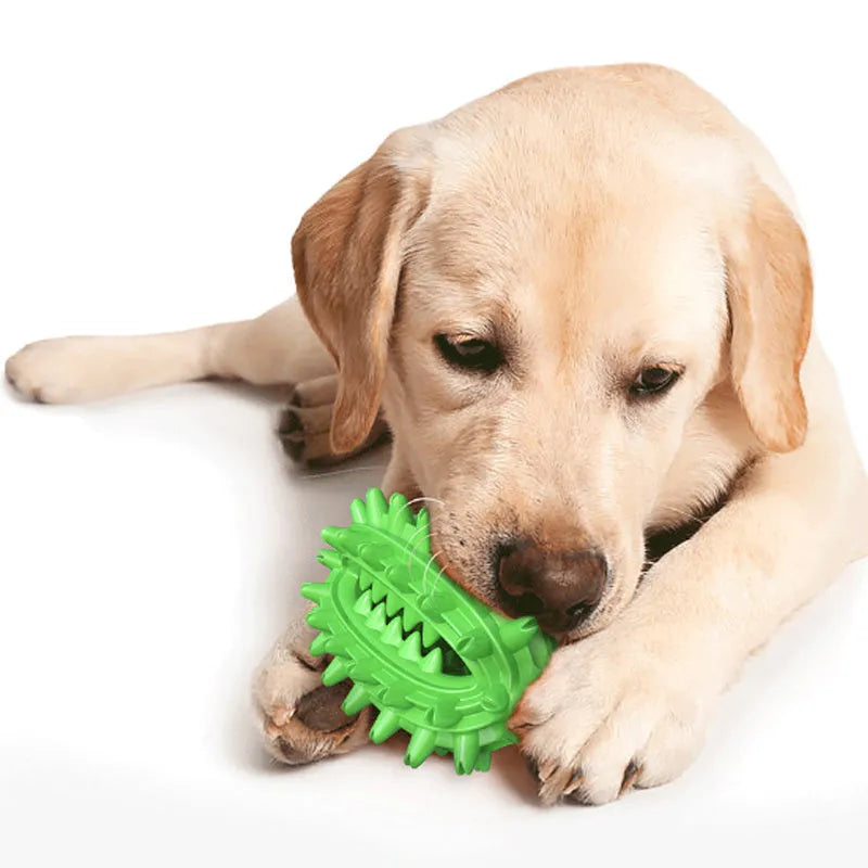 Green and yellow cactus-shaped rubber dog chew toy for dental cleaning