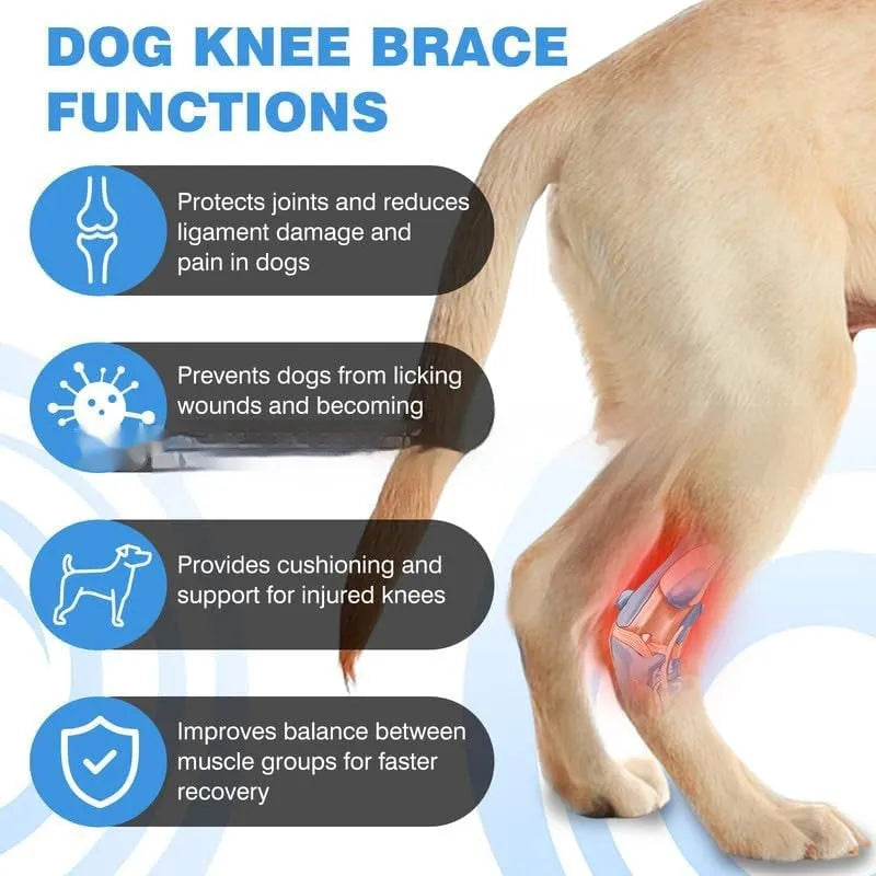 Black dog leg guard for ACL rehabilitation in three sizes with protective cover