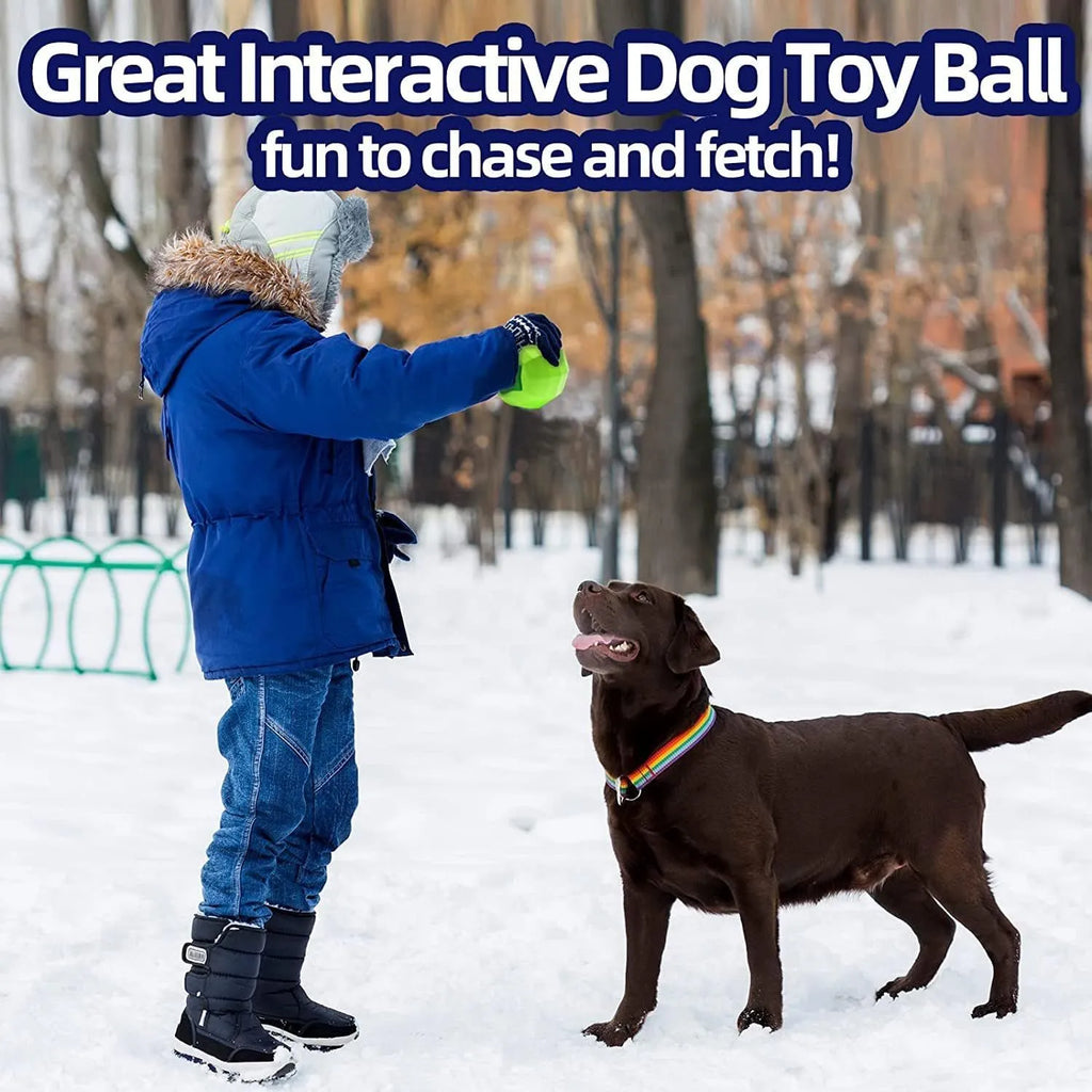 Green natural rubber dog squeaky toy for aggressive chewers
