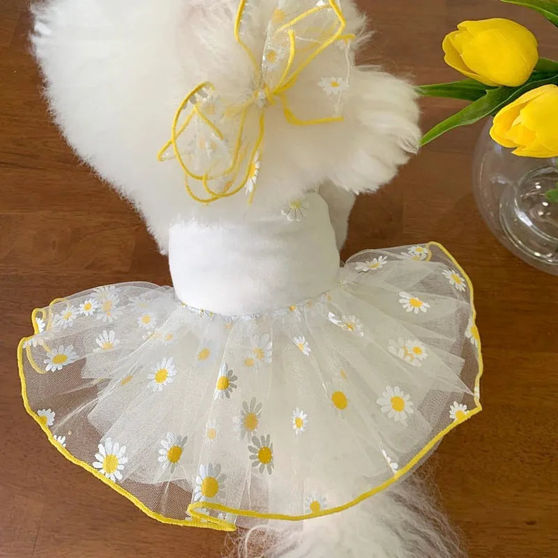 Yellow floral Little Daisy pattern on lightweight polyester summer dog clothes.