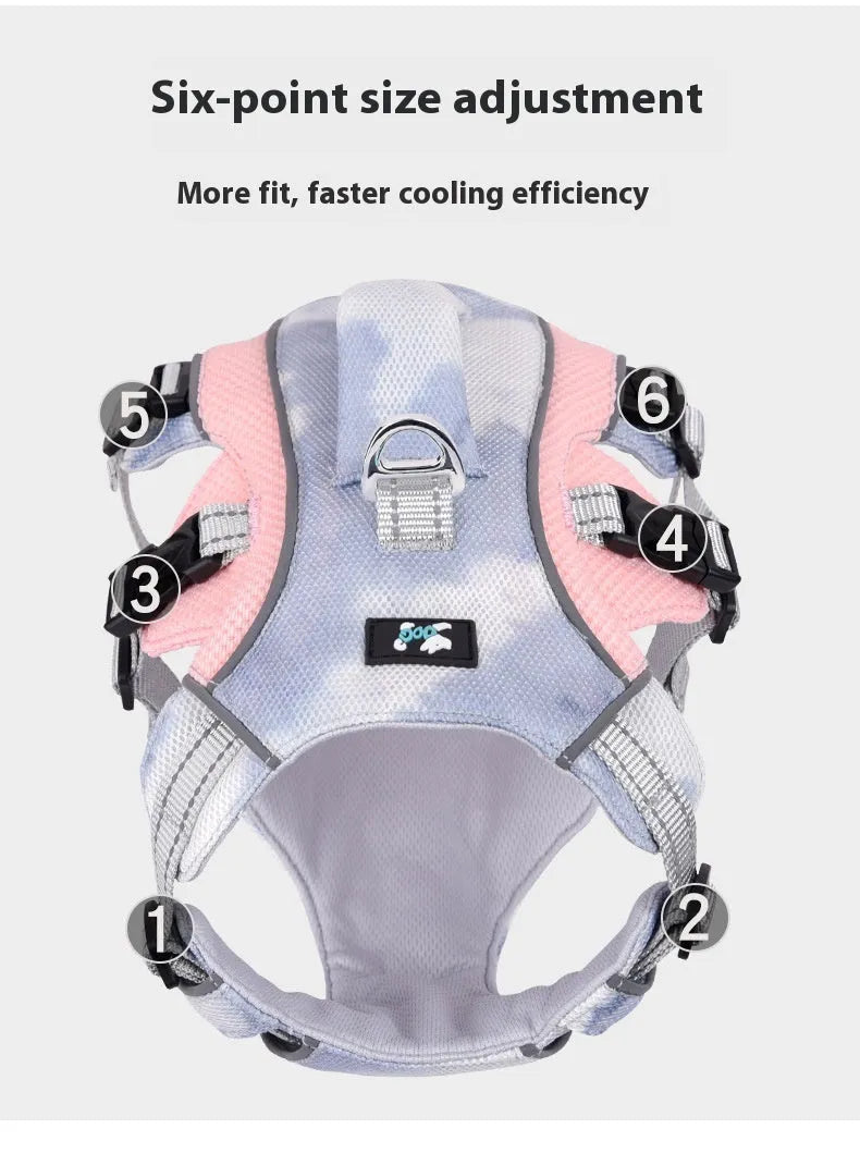 Reflective light blue polyester cooling vest and chest strap harness for a dog on a summer walk.