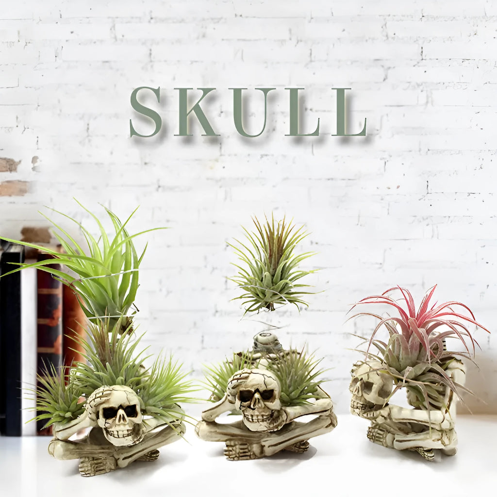 Resin skull design bracket for Tillandsia air plants with gothic styling, measuring 7x8x12.5cm