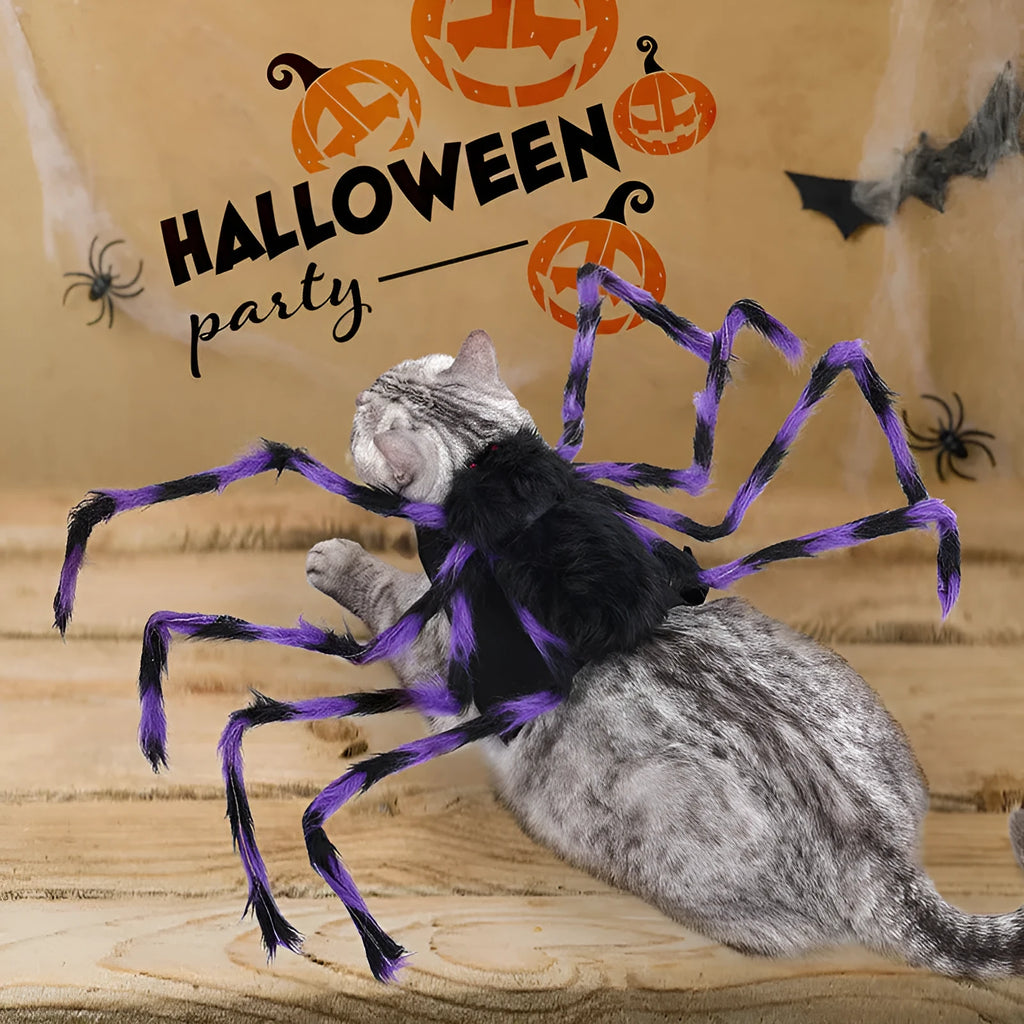 Halloween spider costume for pets in polyester fabric shown in available colours