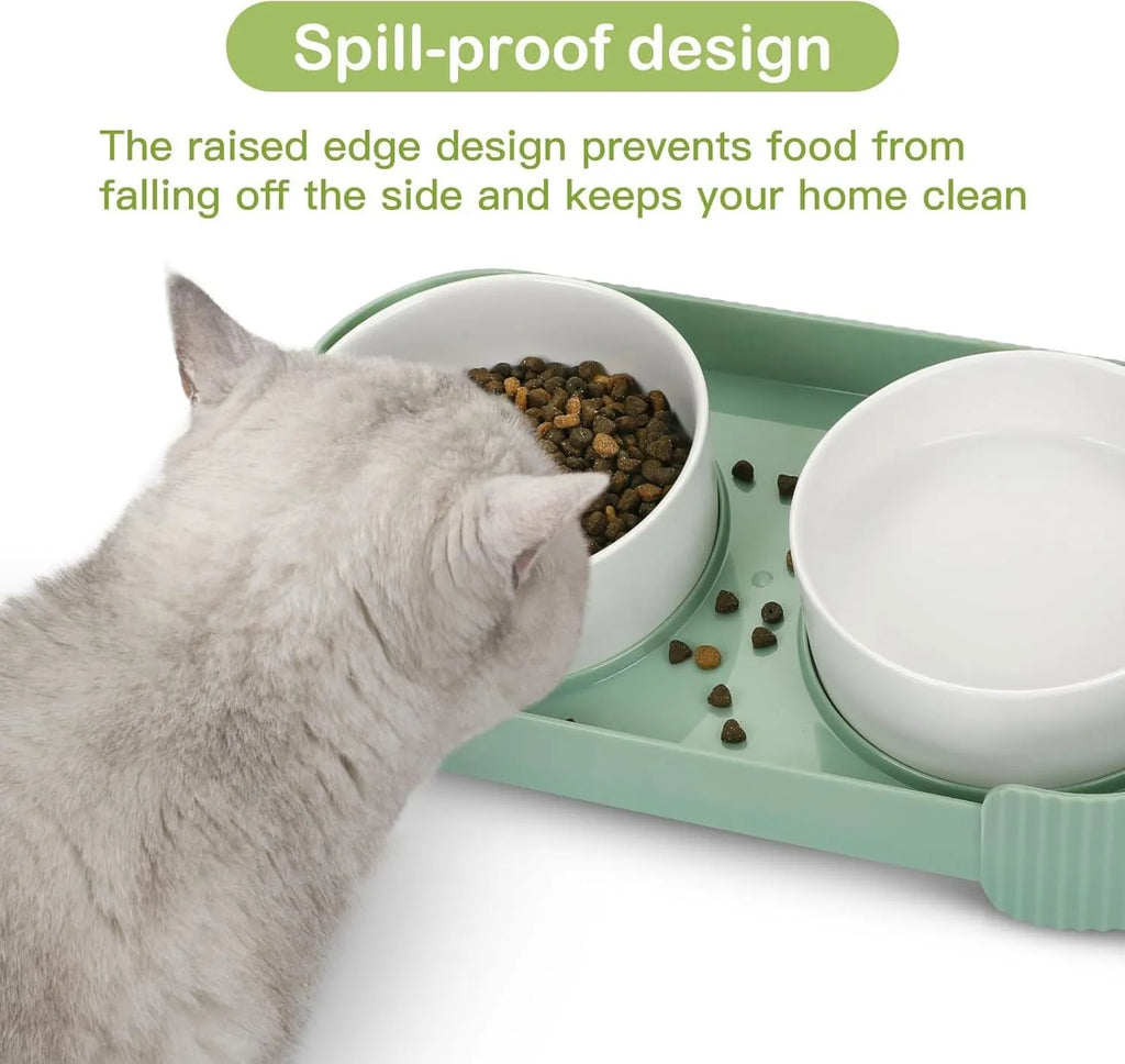 Tilted ceramic pet bowls on elevated stand with 15-degree angle for cats and dogs