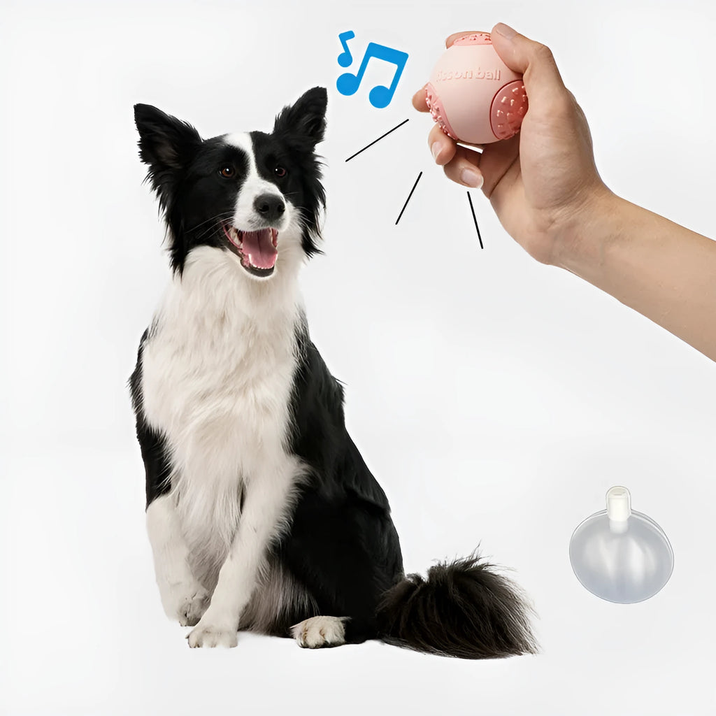 Green rolling ball dog toy on wooden floor showing 64mm diameter