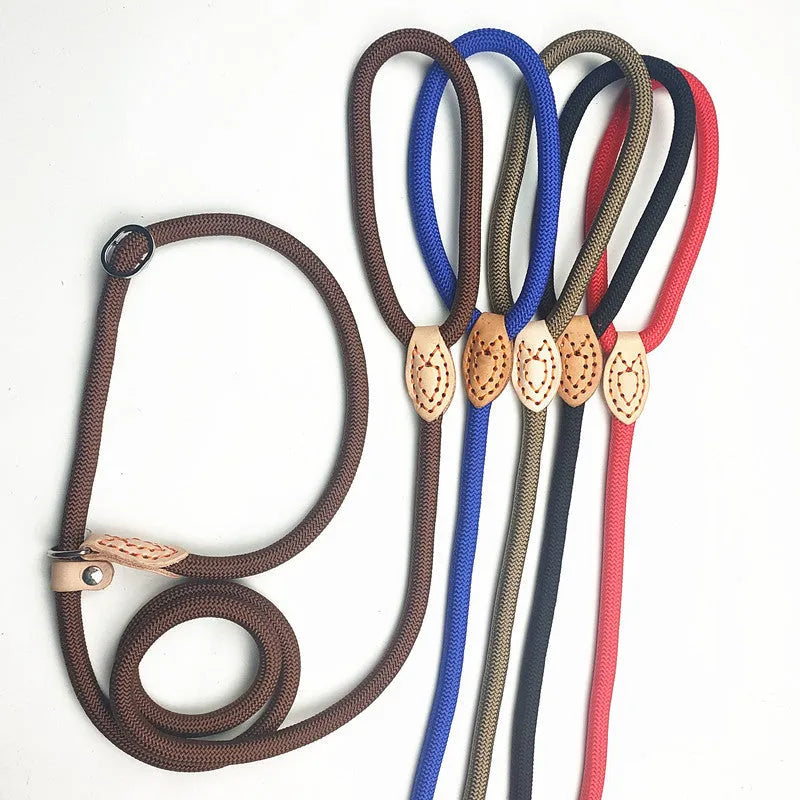 Blast race training dog leash with integrated P rope collar in multiple colour options.