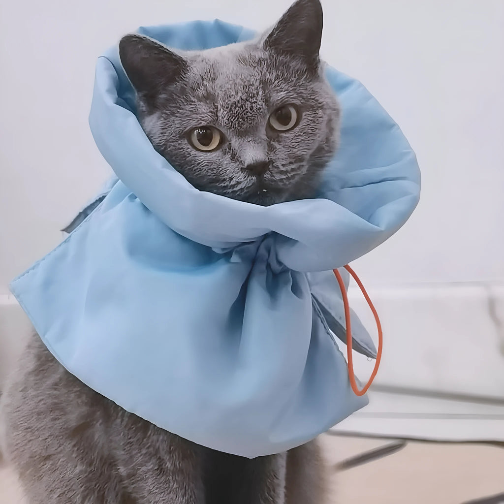 Soft blue adjustable Elizabethan recovery collar for a cat on a plain background.