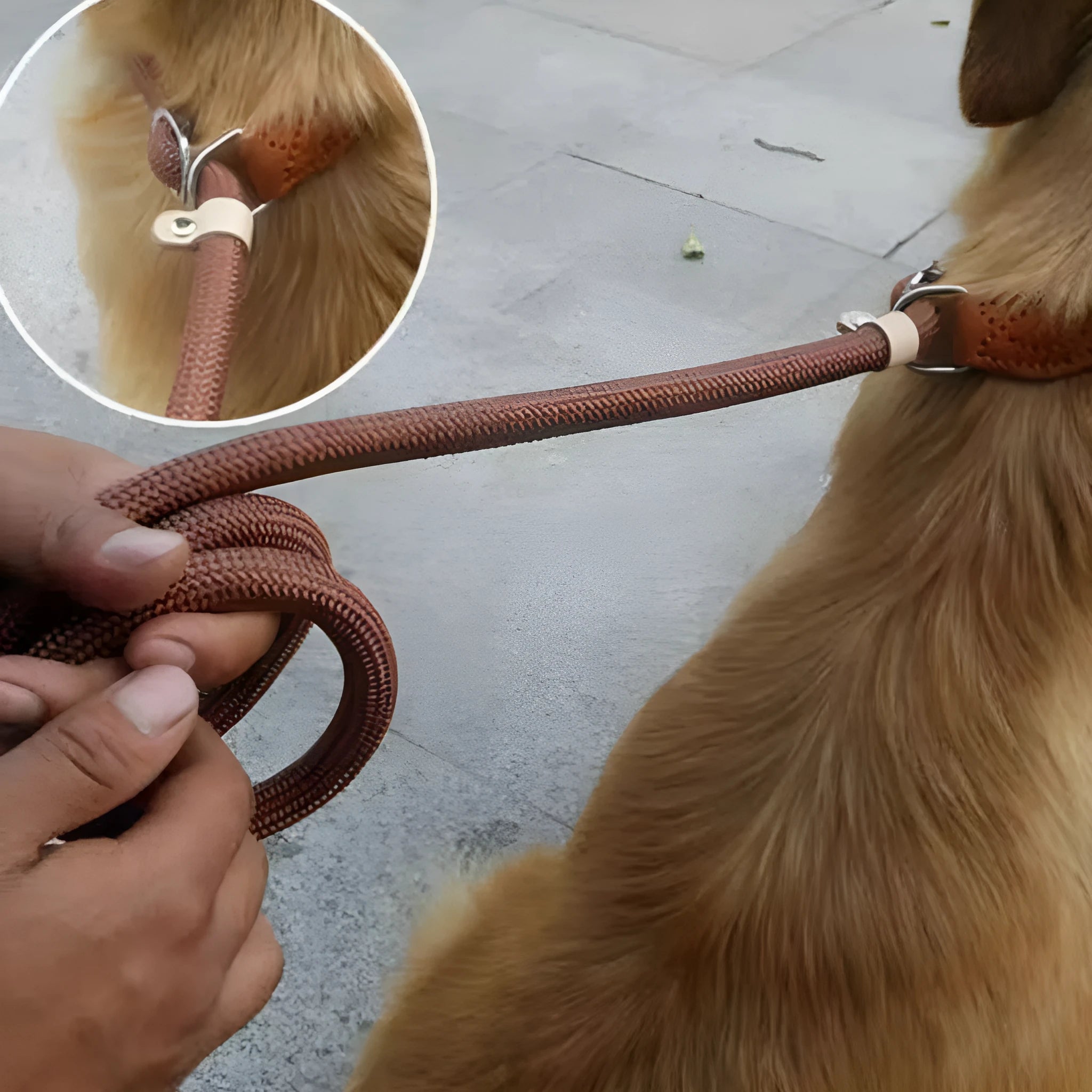 Brown nylon dog leash with chain links measuring 2.1 metres in length