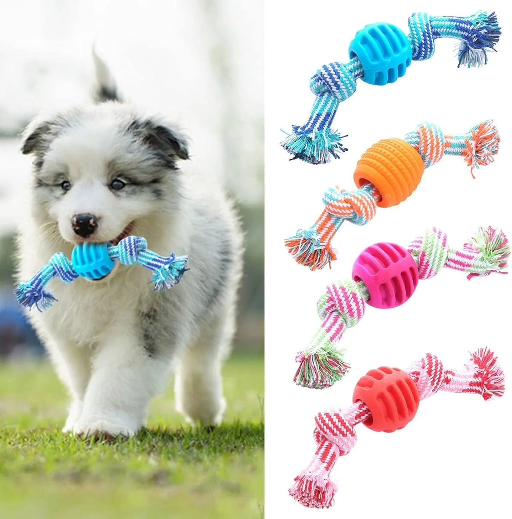 Blue molar-shaped dog chew toy with attached ropes for dental cleaning and tugging play.