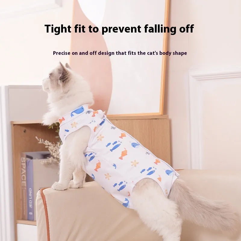 Cat wearing a blue printed post-operative recovery suit covering its torso, secured with Velcro fasteners.