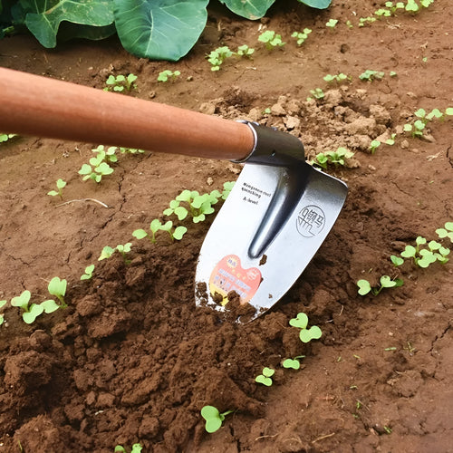 Agricultural pointed hoe with flat design and steel horse tip for weeding and ploughing
