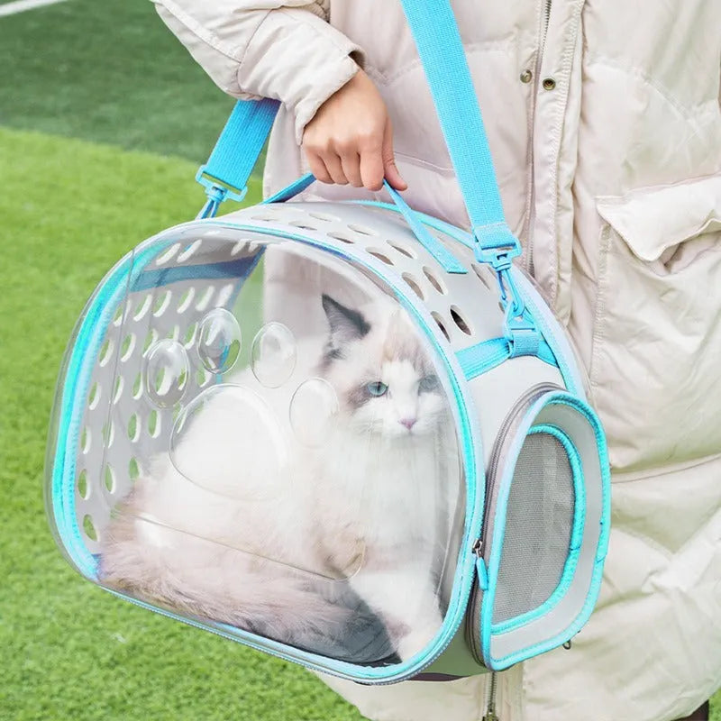 Transparent hard EVA cat backpack carrier in grass green colour with visible interior space