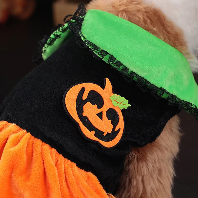 Halloween pet costume showing pumpkin skirt and sweater designs in crystal velvet for dogs and cats