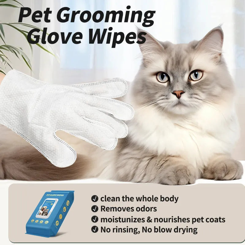 Pack of disposable pet gloves for dog and cat grooming and bath cleaning supplies