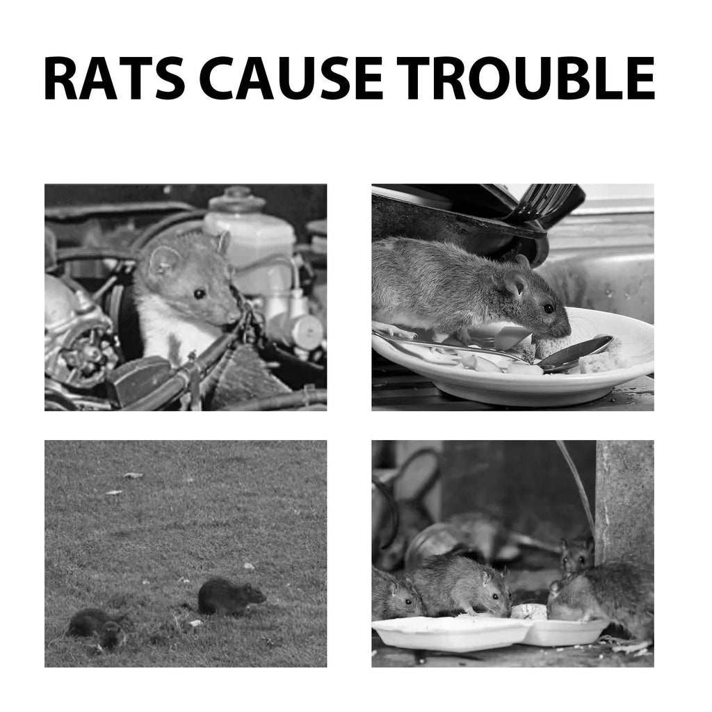 60ml natural rat repellent spray bottle with plant-based formula for home and outdoor use
