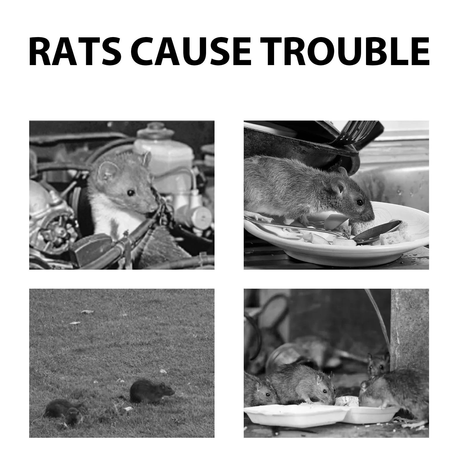 60ml natural rat repellent spray bottle with plant-based formula for home and outdoor use