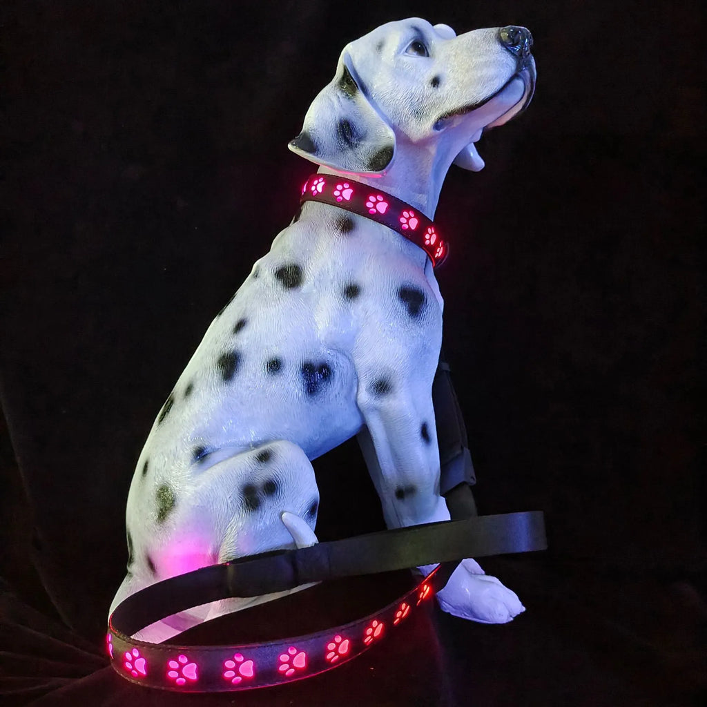 LED light-up cat collar with colourful paw print design on adjustable polyester strap