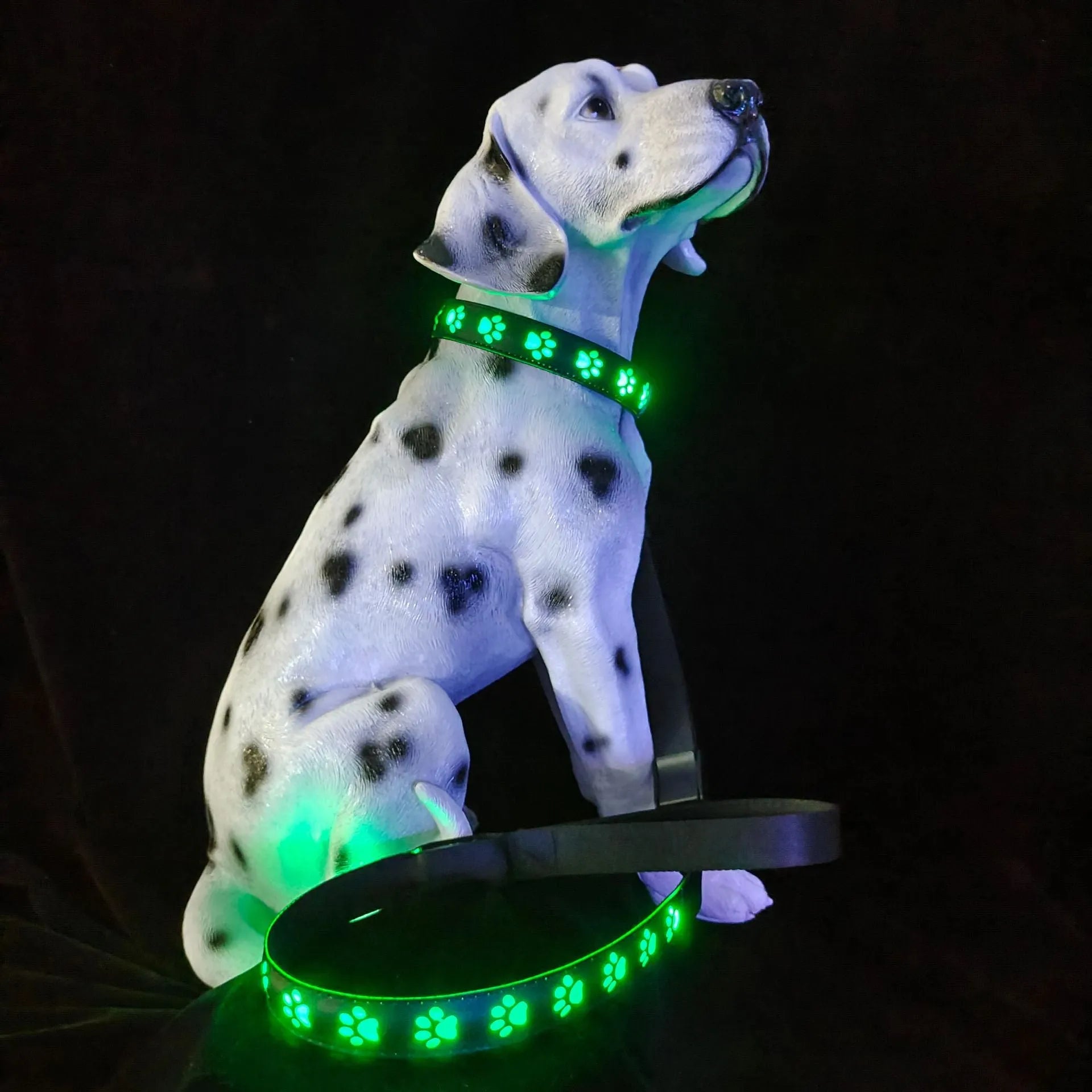 LED light-up cat collar with colourful paw print design on adjustable polyester strap
