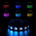 LED light-up cat collar with colourful paw print design on adjustable polyester strap