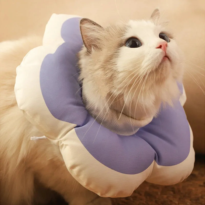 Soft cotton cat recovery collar with a solar flower design in various colours, shown adjusted around a cat's neck.