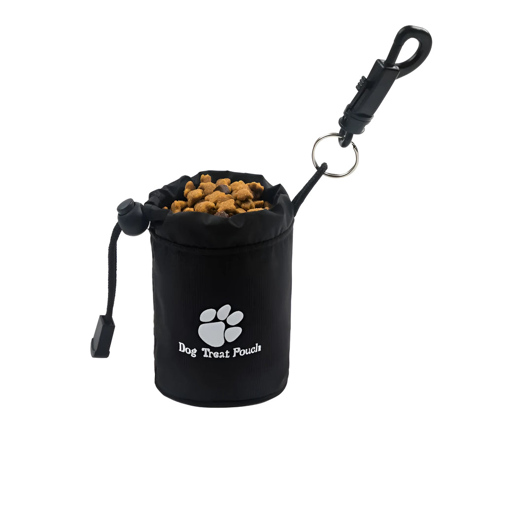 Mini nylon pet training snack bag in solid colour for dog treats