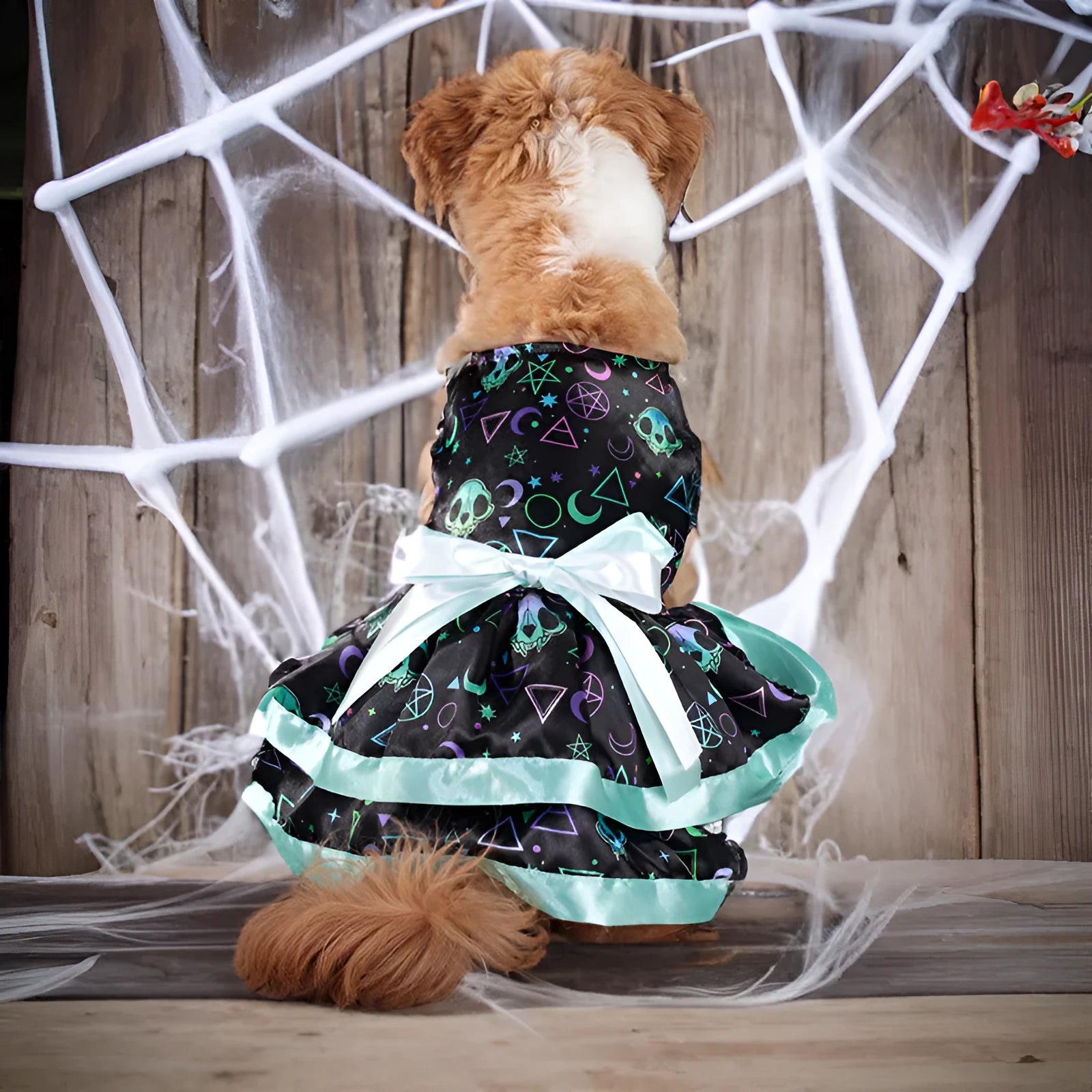 Halloween pet skirt dog costume with colourful pumpkin and skull designs