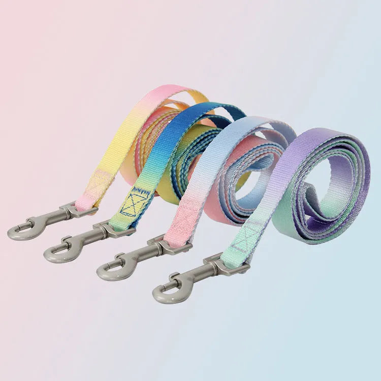 Gradient colour dog leash set showing pink and blue nylon collar and chest strap harness options