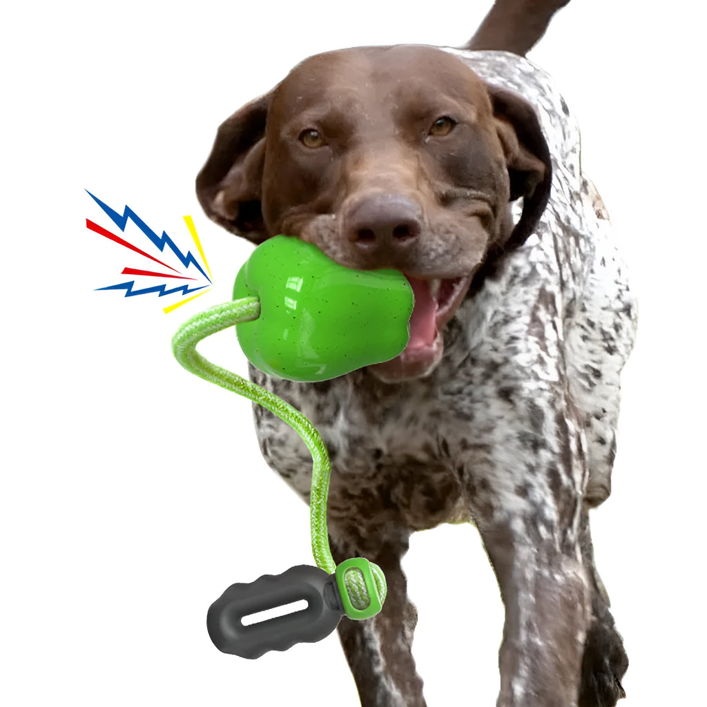 Plastic dog molar toy ball in green colour with squeaky design for outdoor play and dental stimulation