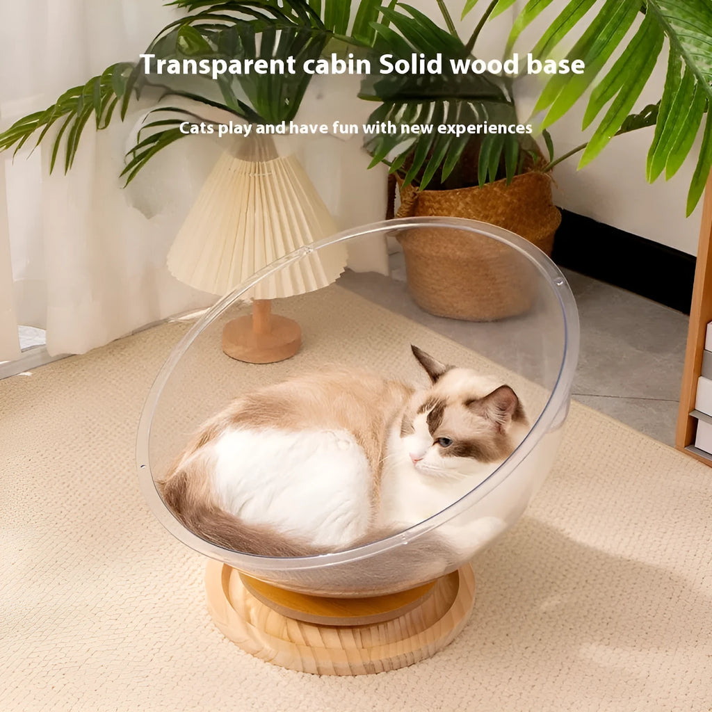 Transparent acrylic space capsule bathtub cat bed on a white background