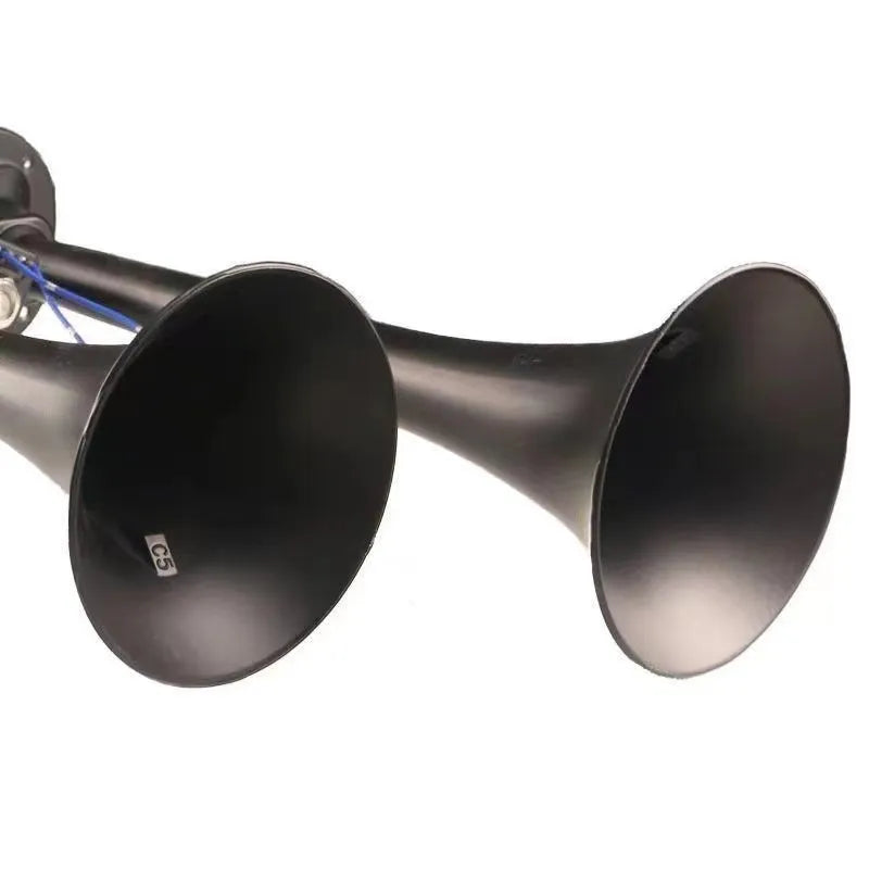 Black dual trumpet air horn kit with compressor for 12V and 24V vehicles