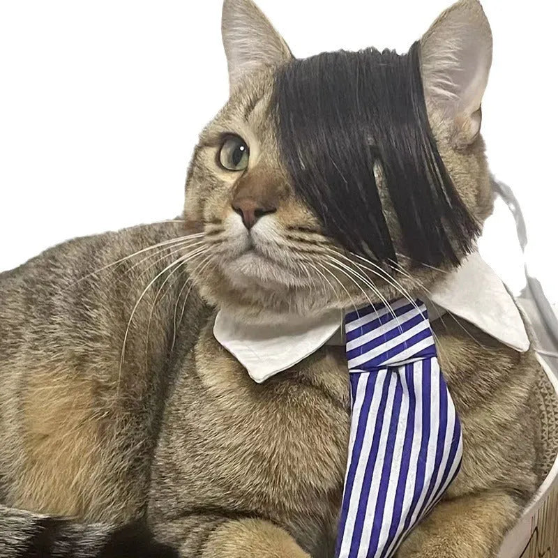 Black imitation braid wig designed for cats as a costume dress up accessory